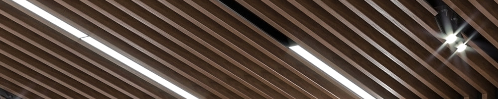 Lighting & Accessories